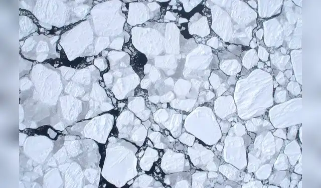 A vista aérea, el hielo marino antártico sufrió una desintegración en septiembre de 2023. Foto: AAD/J. Lieser