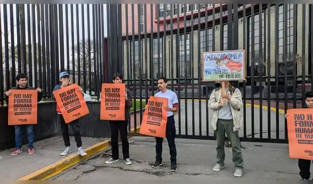 La comunidad vegana de San Marcos está conformada por 22 miembros La comunidad vegana de San Marcos está conformada por 22 miembros