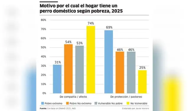 Mascotas en hogares