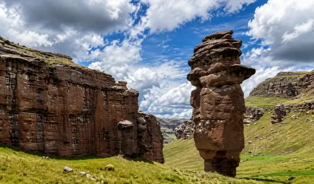 Puno Puno