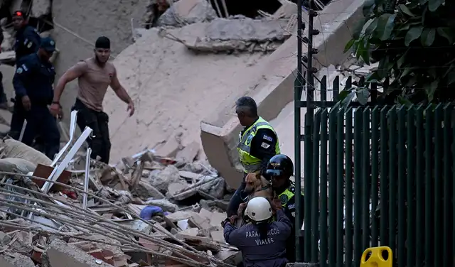Un perro fue rescatado de un edificio derrumbado tras el terremoto en Caracas. Foto: AFP