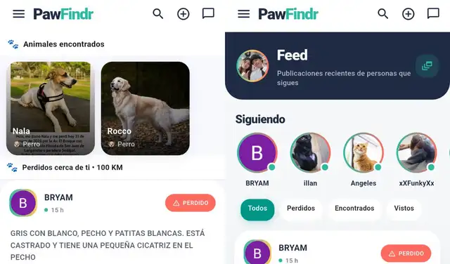 Así es la aplicación que te permite buscar a tu mascota perdida.