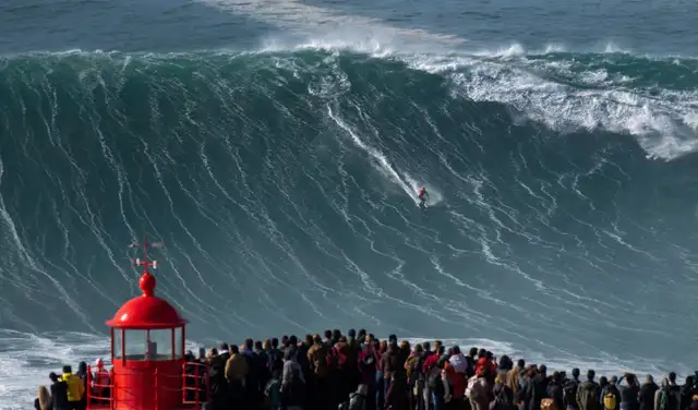 Un surfista cabalga una ola de entre 15 y 20 metros de altura en Portugal. Foto: AFP