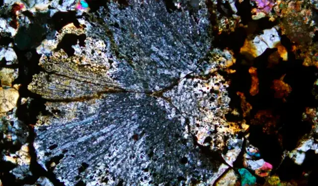 Cóndrulo de piroxeno radial formado en el meteorito de Maryborough. Foto: PRSV Cóndrulo de piroxeno radial formado en el meteorito de Maryborough. Foto: PRSV