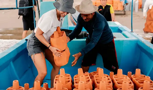 Los módulos de arcilla utilizados por Rrreefs se fabrican mediante una impresora 3D. Foto: Rrreefs Los módulos de arcilla utilizados por Rrreefs se fabrican mediante una impresora 3D. Foto: Rrreefs