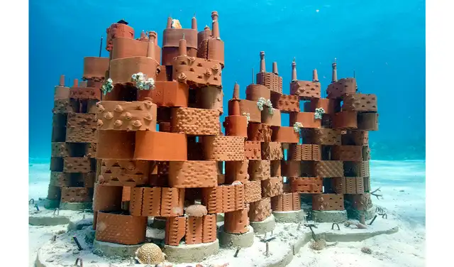 Investigadores quieren ayudar a los corales con andamios de arcilla fabricados con una impresora 3D. Foto: Investigadores quieren ayudar a los corales con andamios de arcilla fabricados con una impresora 3D. Foto: