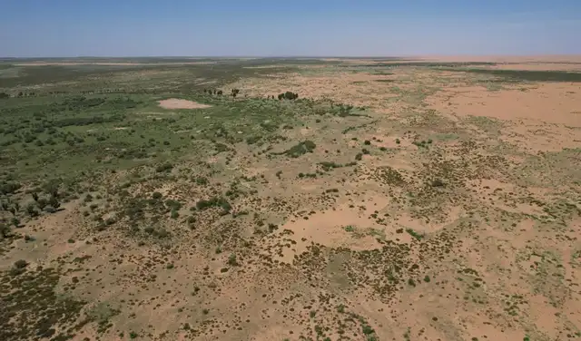 Vista aérea de la Gran Muralla Verde de China, un proyecto gigantesco diseñado para frenar la expansión de los desiertos de Gobi y Taklamakan. Foto: Pedro Pardo Vista aérea de la Gran Muralla Verde de China, un proyecto gigantesco diseñado para frenar la expansión de los desiertos de Gobi y Taklamakan. Foto: Pedro Pardo