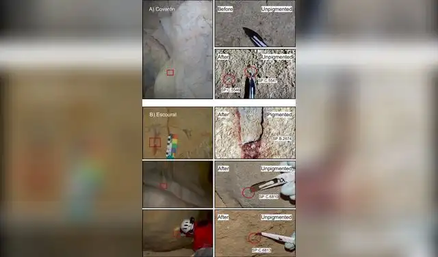 Muestras de la pared de la cueva (pigmentadas y no pigmentadas) que contienen ADN humano antiguo. Foto: Nature Communications Muestras de la pared de la cueva (pigmentadas y no pigmentadas) que contienen ADN humano antiguo. Foto: Nature Communications