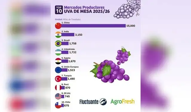 Los 10 de países productores de uva de mesa en el mundo en 2026. Foto: AgroFresh Los 10 de países productores de uva de mesa en el mundo en 2026. Foto: AgroFresh