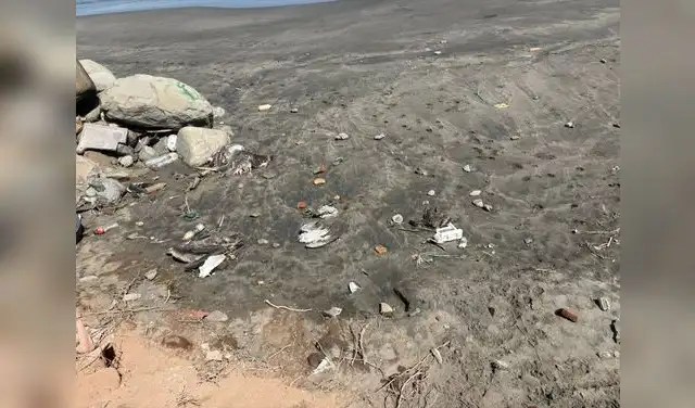 Aves muertas en Trujillo