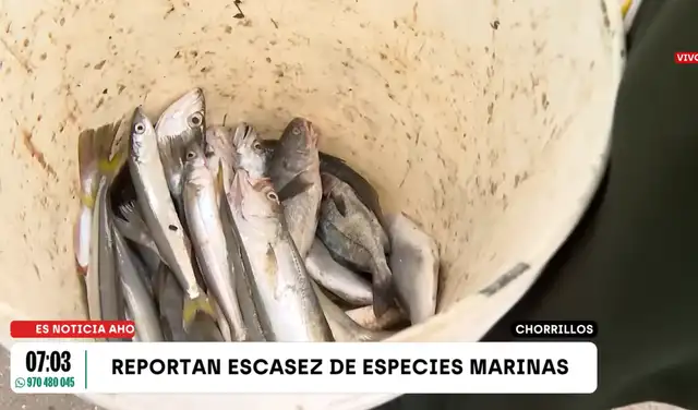 fenómeno el niño, pesca, incremento de temperatura en el mar peruano, Chorrillos