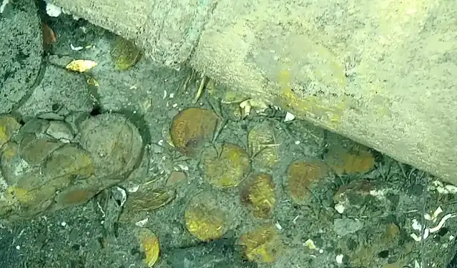 Detalle de las monedas que transportaba el San José. Foto: Armada Nacional de Colombia