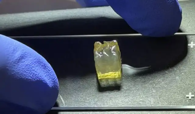 La empresa logró la bioimpresión de tejidos renales y hepáticos a bordo de la Estación Espacial Internacional. Foto: Auxilium Biotechnologies