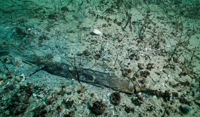 Una espada con empuñadura en el fondo del lago de Neuchâtel. Foto: Octopus Foundation