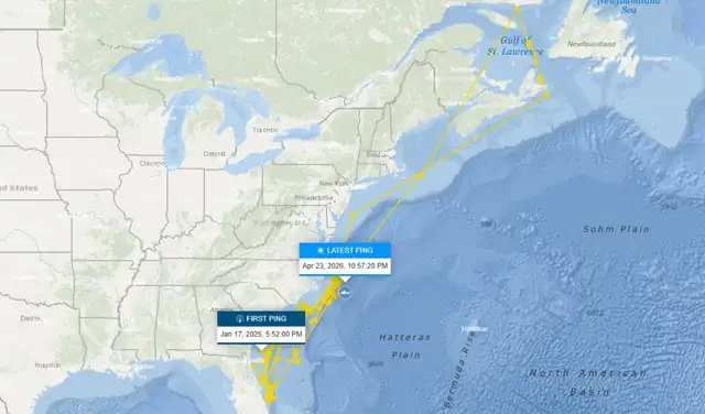 Zonas de avistamiento de 'Contender', el tiburón blanco más grande. Foto: OCEARCH