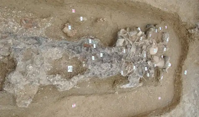 Excavación del entierro femenino. Foto: