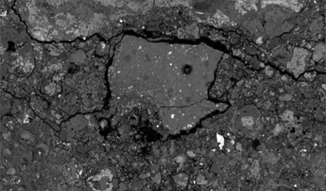 Imagen de electrones retrodispersados de una sección del meteorito rica en sales. Foto: Jenniskens et al., Sci. Adv. , 2026) Imagen de electrones retrodispersados de una sección del meteorito rica en sales. Foto: Jenniskens et al., Sci. Adv. , 2026)