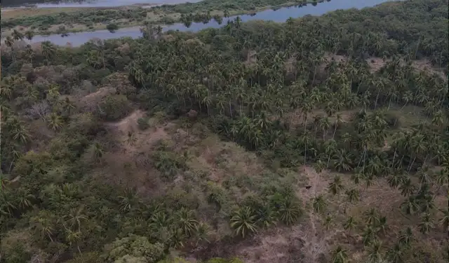 En la Costa Grande de Guerrero, el INAH registra dos sitios arqueológicos que sobrevivieron a la conquista española. Foto: CINAH Guerrero. En la Costa Grande de Guerrero, el INAH registra dos sitios arqueológicos que sobrevivieron a la conquista española. Foto: CINAH Guerrero.