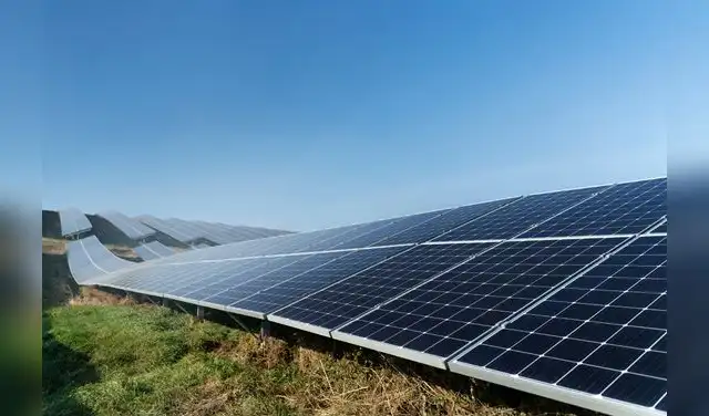 La alternativa de pastoreo, que surgió para reemplazar cortadoras de césped, se ha convertido en un caso de estudio positivo para la biodiversidad y el bienestar animal en la planta solar. La alternativa de pastoreo, que surgió para reemplazar cortadoras de césped, se ha convertido en un caso de estudio positivo para la biodiversidad y el bienestar animal en la planta solar.