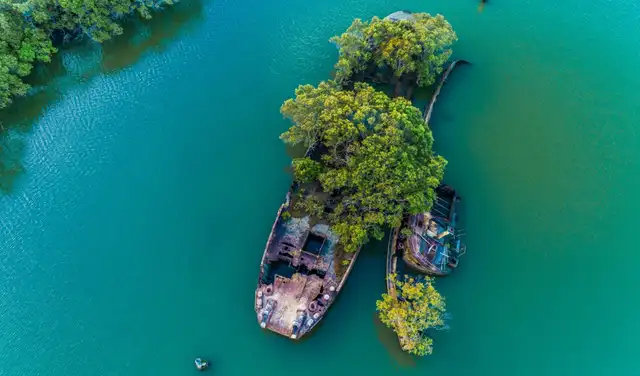 Las ramas de estos árboles se desbordan por los costados del barco deteriorando lentamente el casco. Foto: Secret Sidney Las ramas de estos árboles se desbordan por los costados del barco deteriorando lentamente el casco. Foto: Secret Sidney