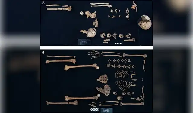 Ubicación de esqueletos de princesas: Ita (A), Khenmet (B), Itaweret (C) y Sathathormeryt (D, probable individuo 408). Foto: Frontiers in Environmental Archaeology Ubicación de esqueletos de princesas: Ita (A), Khenmet (B), Itaweret (C) y Sathathormeryt (D, probable individuo 408). Foto: Frontiers in Environmental Archaeology