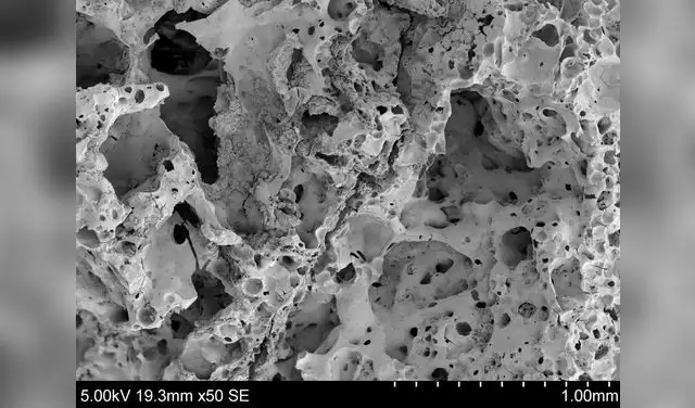 Imagen de los restos carbonizados de pan de 14.400 años de antigüedad, obtenida con un microscopio electrónico de barrido. Foto: Amaia Arranz Otaegui/National Geographic