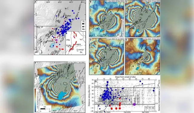 InSAR y sismicidad en FD, MER. (A-G) Mapa de fallas, sismos y sills en Fentale, interferogramas S1/CSK y su evolución. Foto: Science Advances