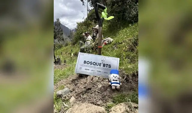 Fans de BTS ayudan a reforestar zona de Machu Picchu