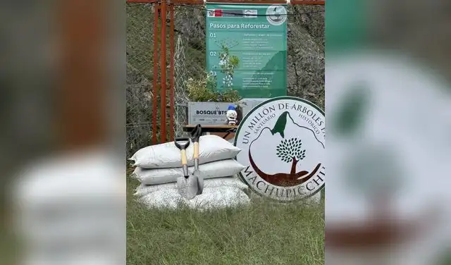 Fans de BTS ayudan a reforestar zona de Machu Picchu
