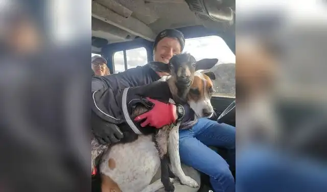 Nueva Zelanda convoca a voluntarios para cuidar animales rescatados en la Isla Sur. Foto: Kind Farm Nueva Zelanda convoca a voluntarios para cuidar animales rescatados en la Isla Sur. Foto: Kind Farm