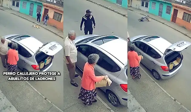 Capturas de pantalla del video viral. Foto: Facebook