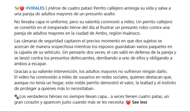 Narrativa atribuida al video viral. Foto: Facebook