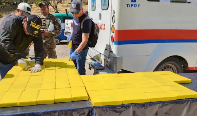 Los paquetes de cocaína, marcados con la imagen de un delfín, fueron descubiertos tras un operativo que se realizó cerca del Hospital Regional de Ayacucho. Los paquetes de cocaína, marcados con la imagen de un delfín, fueron descubiertos tras un operativo que se realizó cerca del Hospital Regional de Ayacucho.