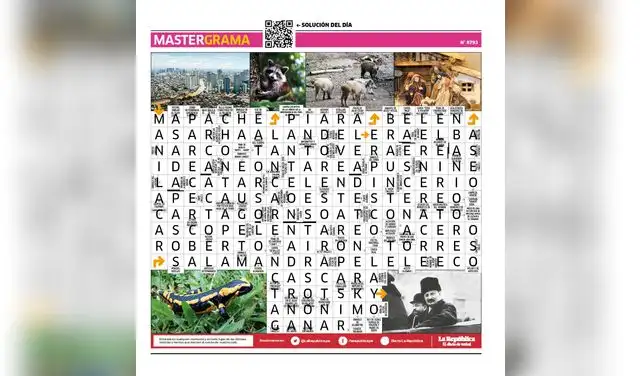 Mastergrama N°8793