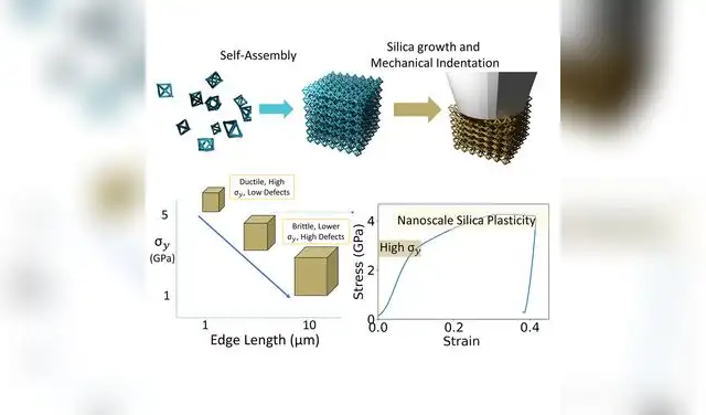 Seok-Woo Lee, científico de materiales de UConn y codirector de la investigación, afirmó: “Para la densidad dada, nuestro material es el más resistente conocido”. Foto: Cell Reports Physical Science Seok-Woo Lee, científico de materiales de UConn y codirector de la investigación, afirmó: “Para la densidad dada, nuestro material es el más resistente conocido”. Foto: Cell Reports Physical Science