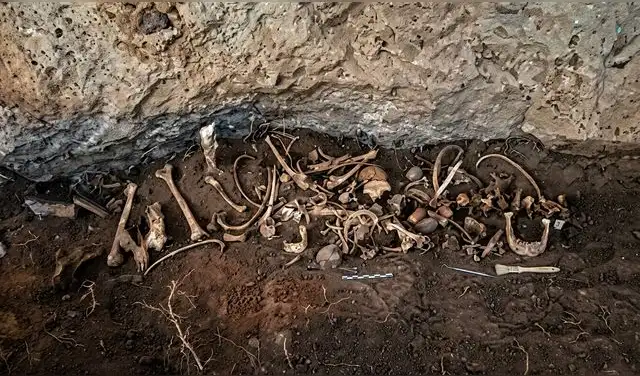 Los recientes trabajos de excavación en la Cordillera Negra también destaparon herramientas de trabajo textil, restos de fauna y evidencia de interacciones comerciales. Foto: Agencia Andina Los recientes trabajos de excavación en la Cordillera Negra también destaparon herramientas de trabajo textil, restos de fauna y evidencia de interacciones comerciales. Foto: Agencia Andina