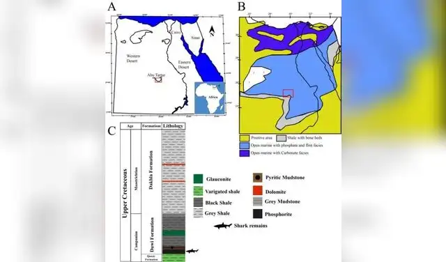 Diagrama que ilustra cómo los océanos cubrían la región en el pasado. Foto: Yassin et al., Cretac. Res. , 2026 Diagrama que ilustra cómo los océanos cubrían la región en el pasado. Foto: Yassin et al., Cretac. Res. , 2026