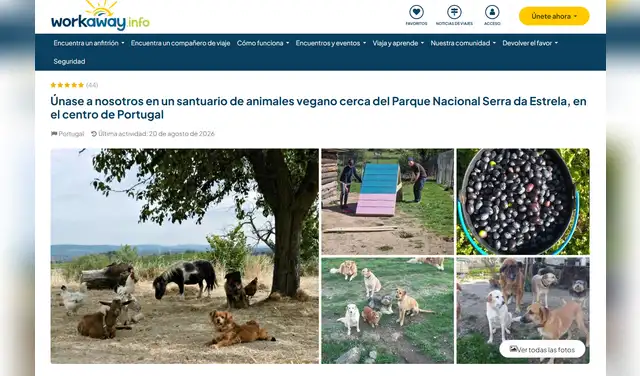 La labor incluye atención a mascotas y mantenimiento del refugio en Portugal. Foto: Workaway/captura