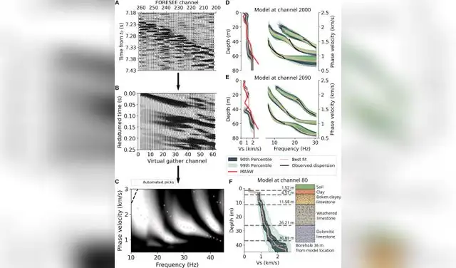 Validación de los resultados 1D. Foto: Science Advances