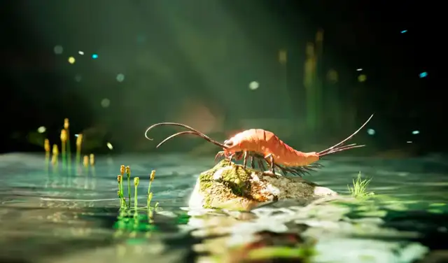 Esta especie ayuda a los científicos a reconsiderar la trayectoria evolutiva que siguieron los insectos desde el agua hasta la tierra. Foto: Chao Tan