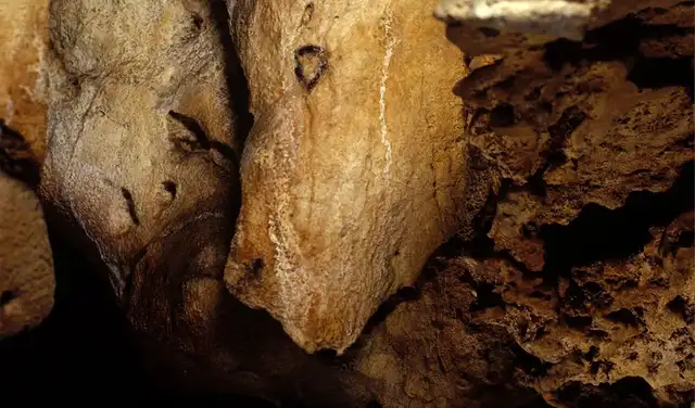 En un saliente rocoso que recuerda a la cabeza de un bisonte en El Castillo, un artista prehistórico realizó sencillas marcas para evocar ojos y una fosa nasal. Foto: Gobierno de Cantabria/Pedro Saura Ramos