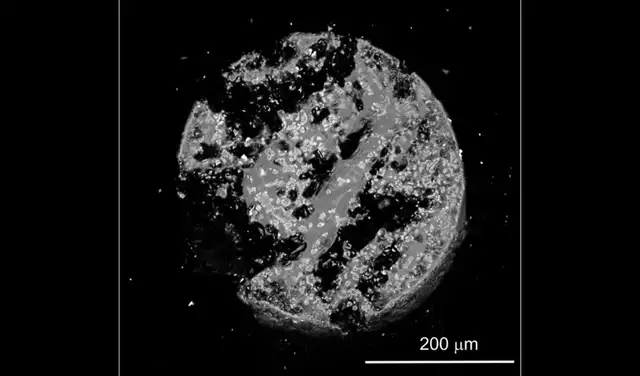 Sección transversal obtenida mediante microscopía electrónica de barrido (SEM) de la esférula completa de hiroshimaíta, con material metálico disperso en el vidrio. Foto: Science Advances