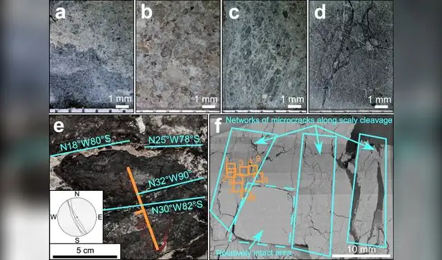 Muestras en las que se identificó CM similar al óxido de grafeno. Foto: Nature Communications