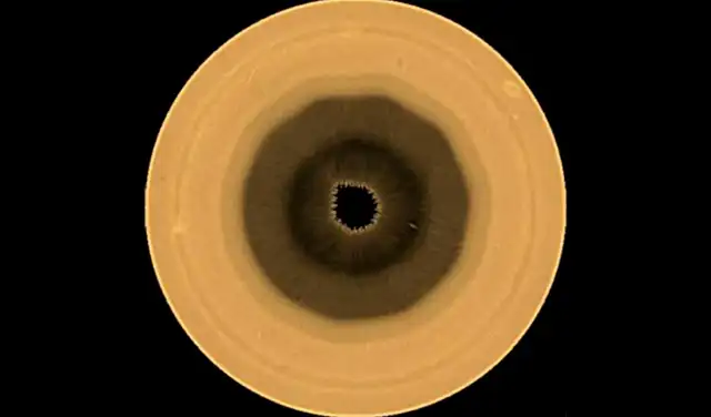 Proyección polar del hemisferio sur de Saturno a partir de datos del Hubble, que revela el decágono. Foto: NASA, ESA, A. Sánchez-Lavega Proyección polar del hemisferio sur de Saturno a partir de datos del Hubble, que revela el decágono. Foto: NASA, ESA, A. Sánchez-Lavega