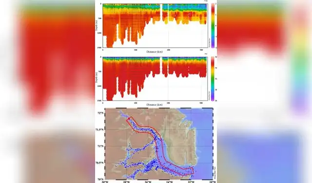 Sección longitudinal de temperatura y salinidad desde Nordvestfjord, pasando por Hall Bredning, hasta la entrada de Scoresby Sound. Foto: Science Advances