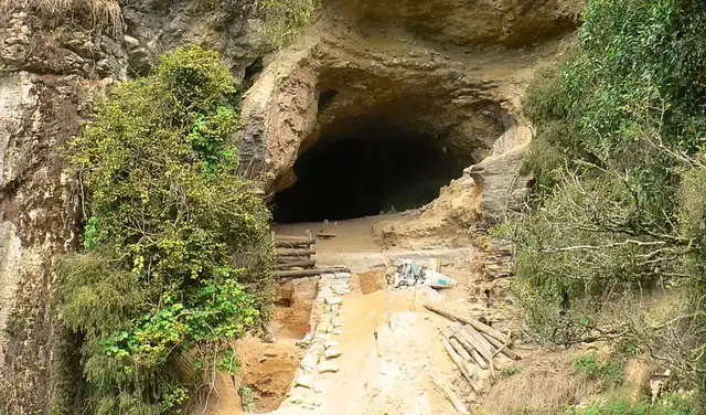 En la cueva se encontraron 12 especies de aves antiguas y cuatro de ranas , varias de ellas desconocidas para la ciencia. Foto: An Australasian Journal of Paleontology