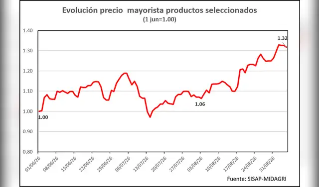 Evolución del precio: Tras mantenerse estable, la canasta de cinco alimentos clave (papa, choclo, arveja, tomate y lechuga) cerró agosto de 2026 con un alza acumulada del 32% en el mercado mayorista.