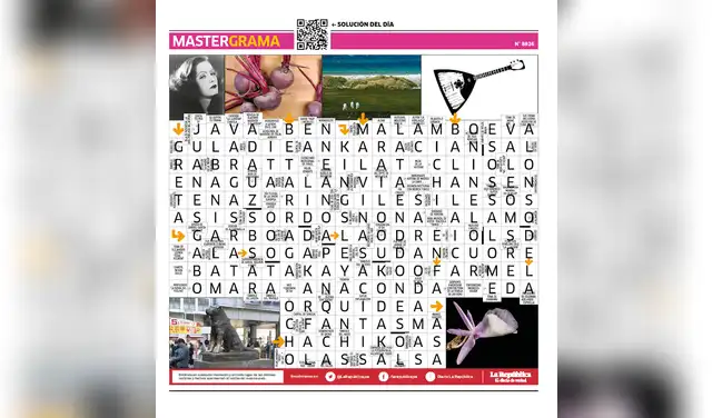 Mastergrama N°8826