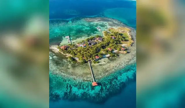 El actor adquirió en 2005 la isla Blackadore Caye en Belice, con el objetivo de restaurar su ecosistema tras años de deterioro ambiental por erosión y sobrepesca.