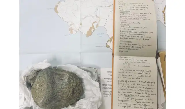 El cuaderno de campo junto a la primera vértebra fósil de dinosaurio encontrada en la Antártida. Foto: British Antarctic Survey